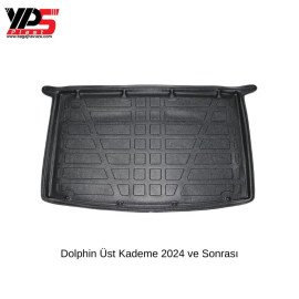 Dolphin 2024 ve Sonrası