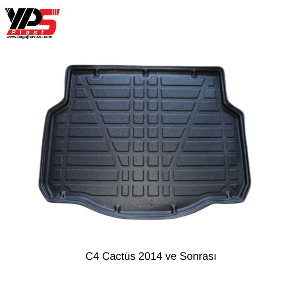 C4 Cactüs 2014 ve Sonrası