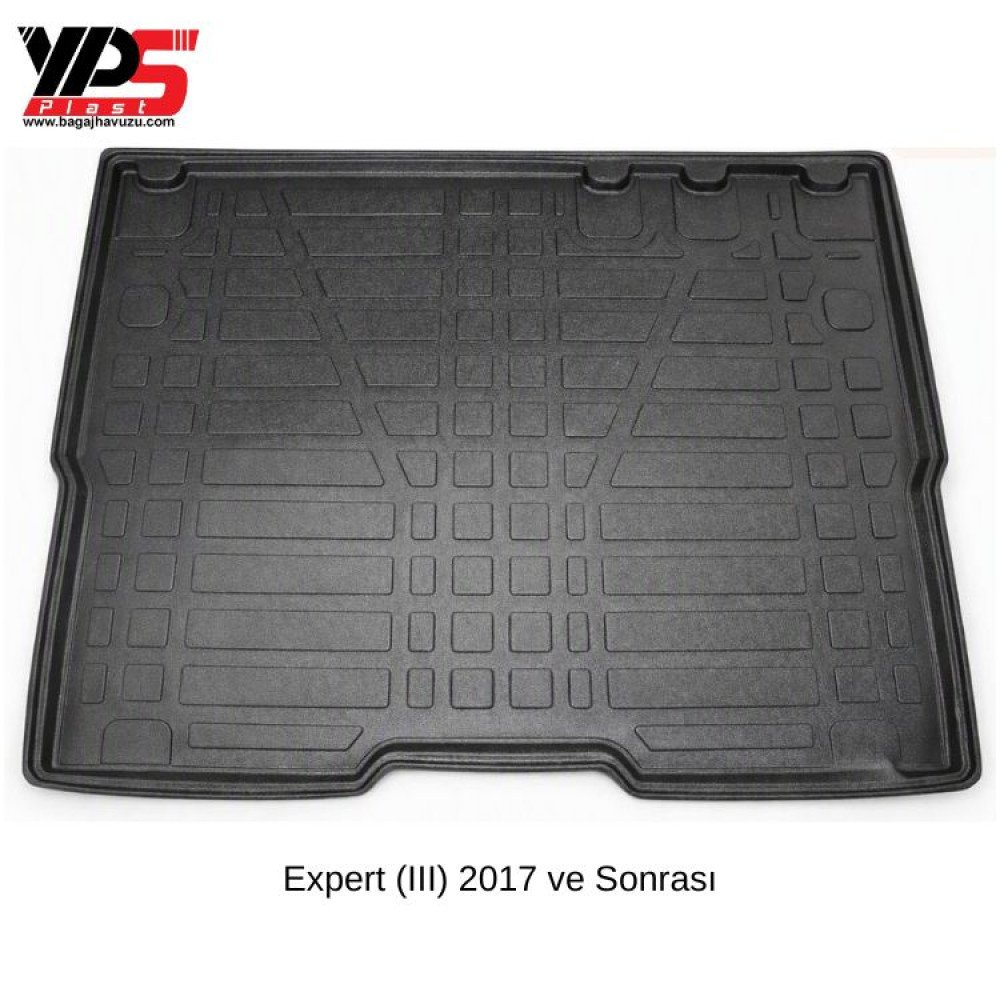 Expert (III) 2017 ve Sonrası