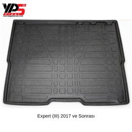 Expert (III) 2017 ve Sonrası