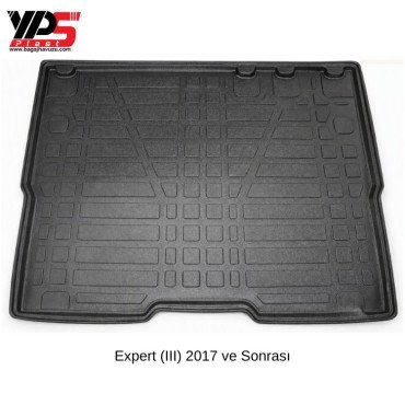 Expert (III) 2017 ve Sonrası